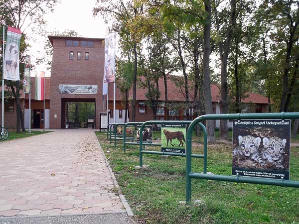 Idén harmincéves a Szegedi Vadaspark